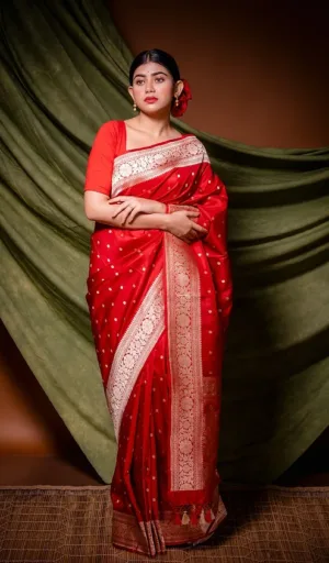 Red Handloom Pure Silk Banarasi Saree