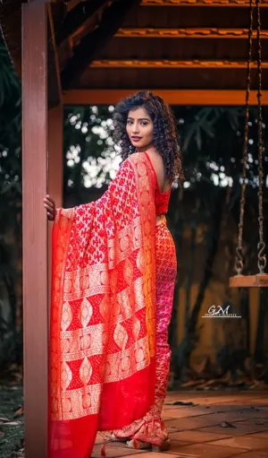 Model wearing a Handwoven Pure Chiffon Banarasi saree in vibrant red, featuring intricate gold zari floral and geometric patterns. The saree is draped elegantly with a flowing pallu, exuding traditional luxury and grace.